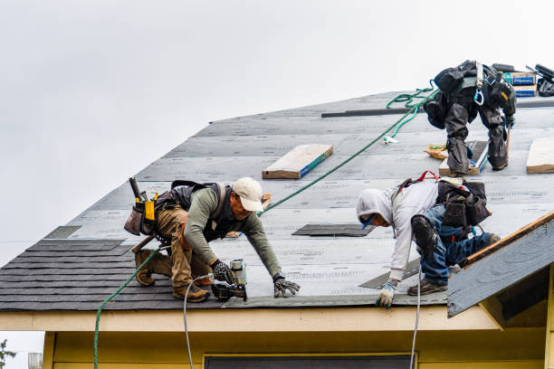 Professional Roofing technician working in Baldwin, MI